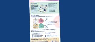 A zoomed out image of an infographic against a navy blue background