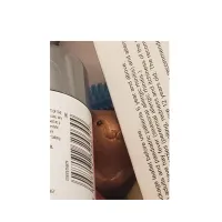 wooden animal between packaged leaflets