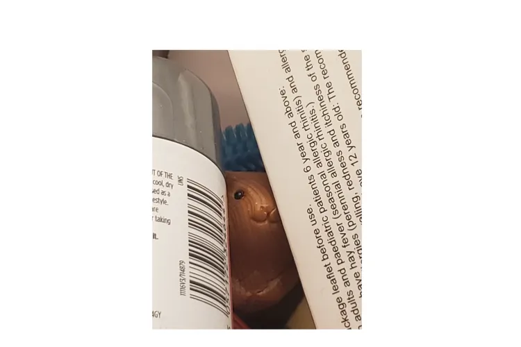 wooden animal between packaged leaflets